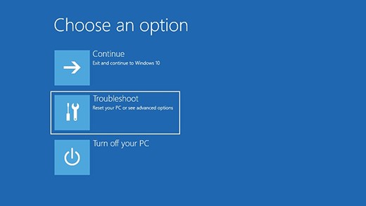 Choose an option screen with troubleshooting option selected