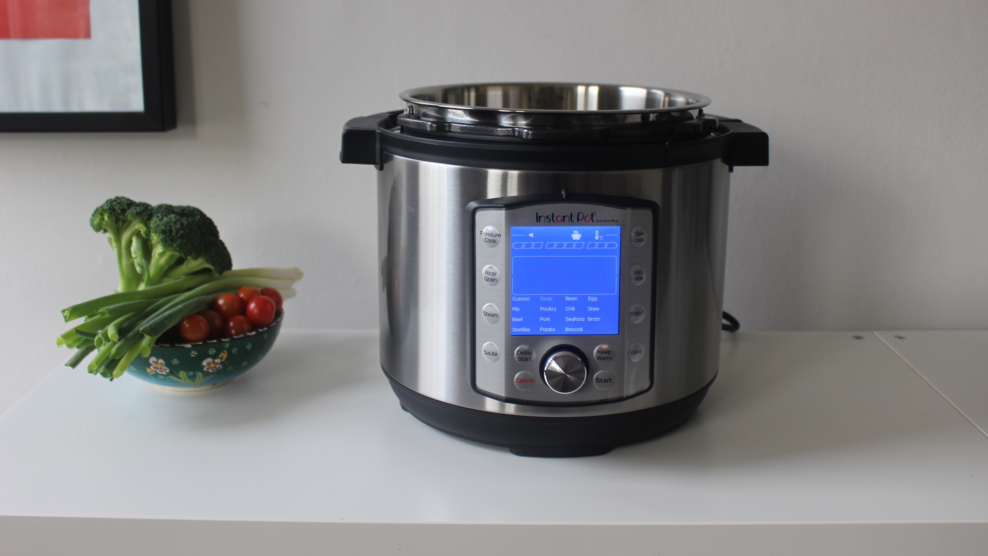Instant Pot Duo Evo Plus