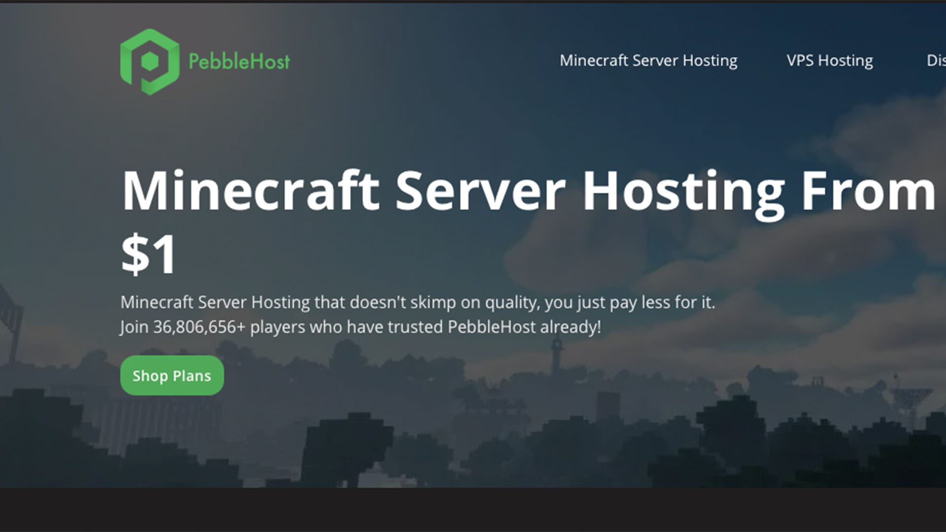 The PebbleHost website.