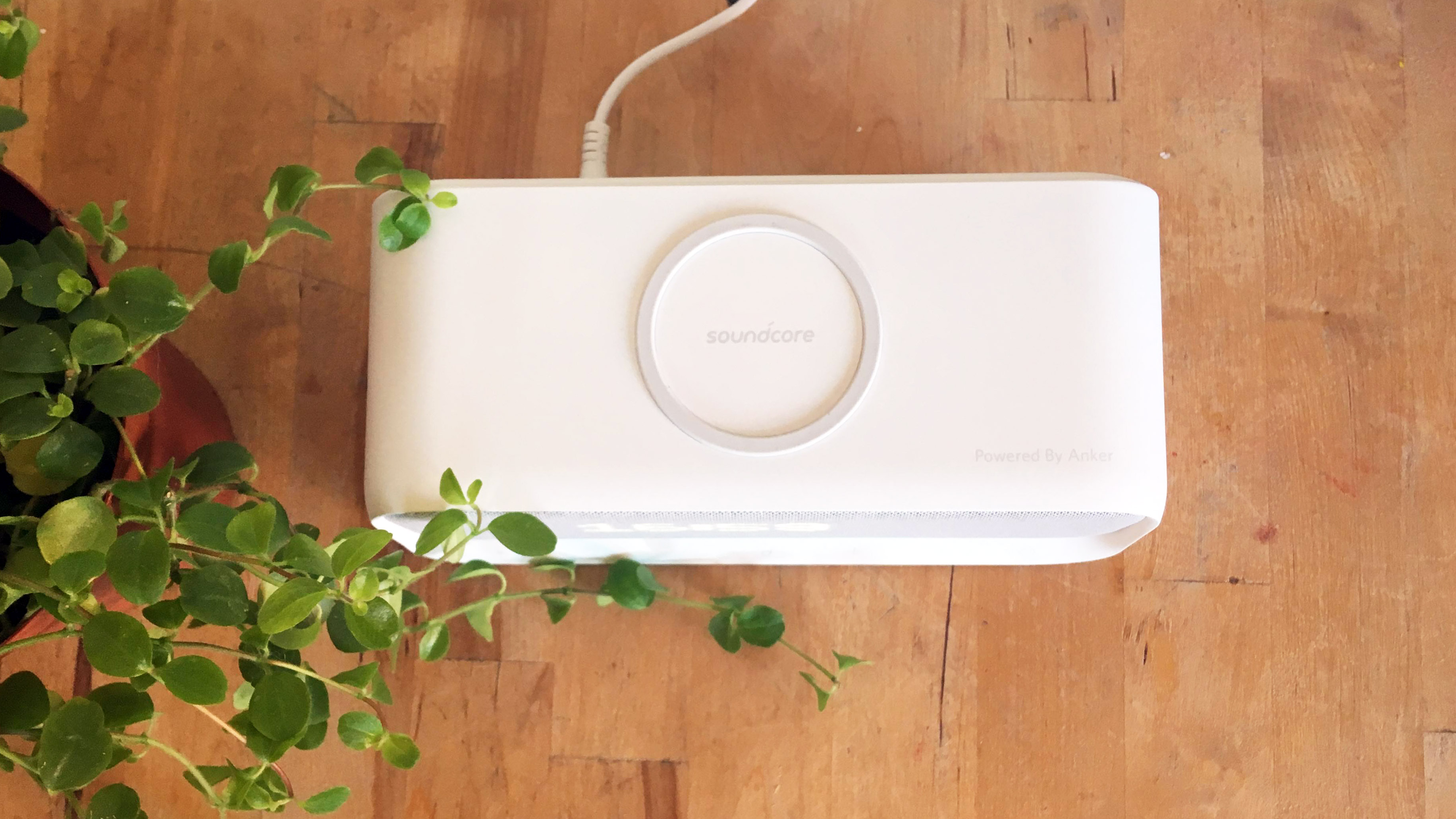 Anker soundcore wakey