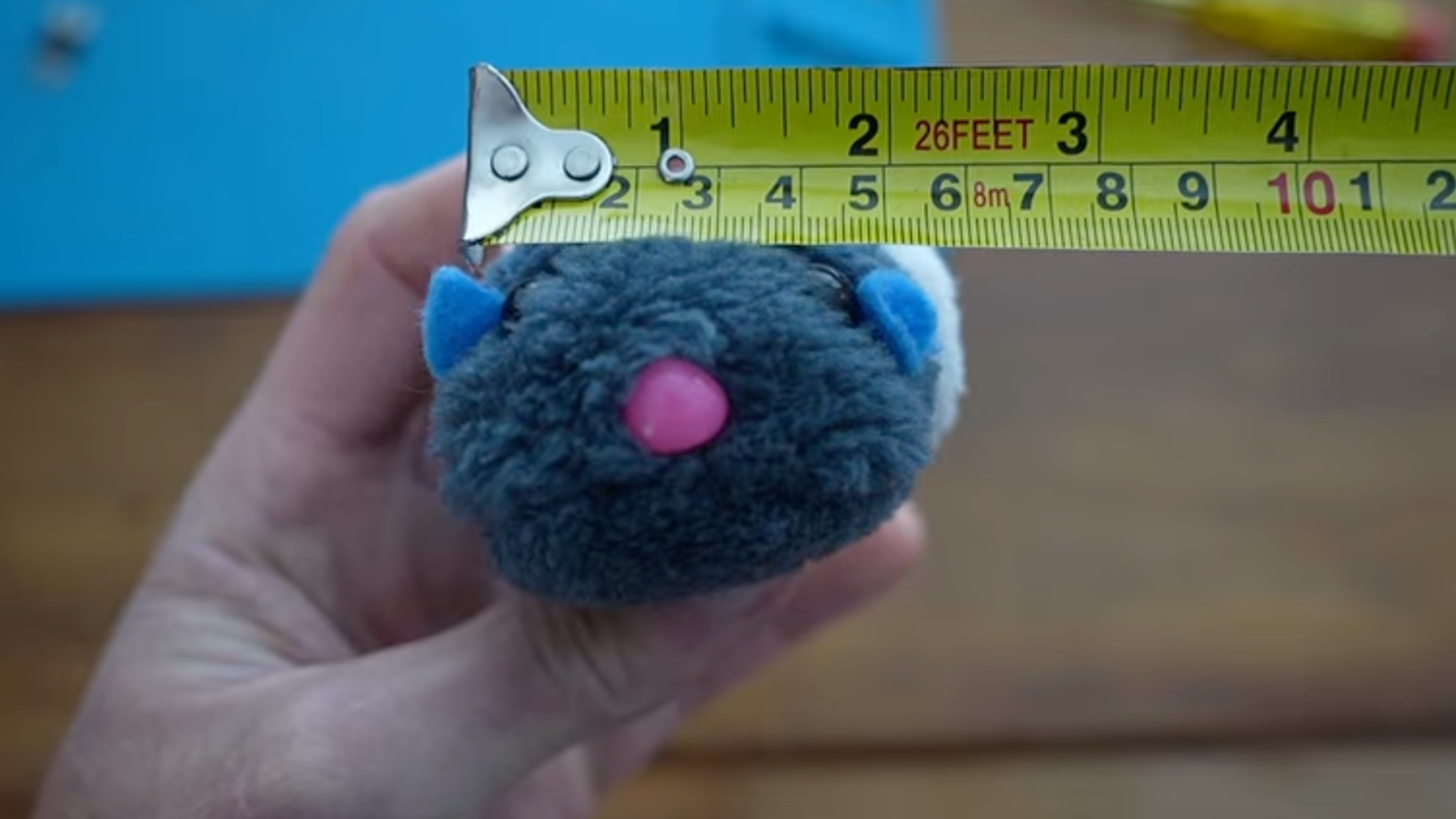 A man's hand holding a toy guinea pig and measuring its width with a yellow measuring tape