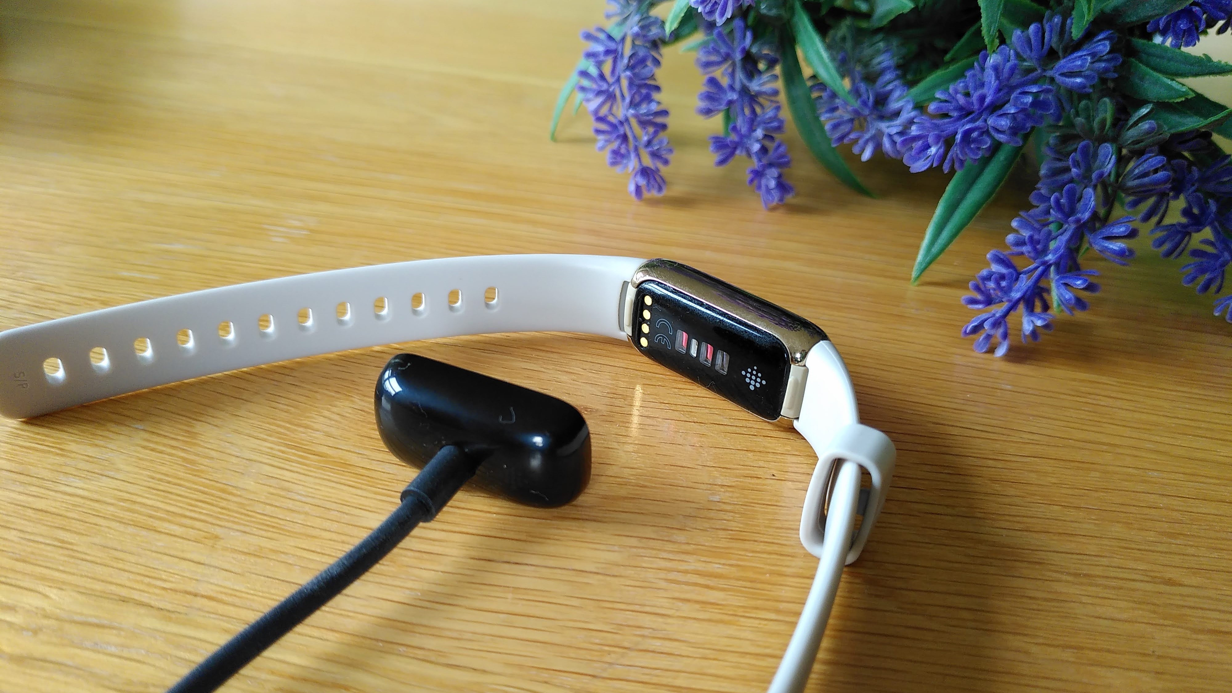 Fitbit Luxe with charging cable