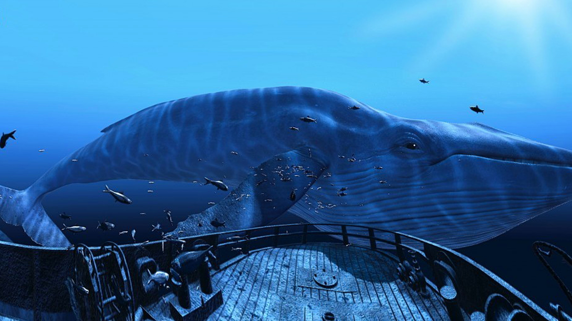 36. Explore the oceans