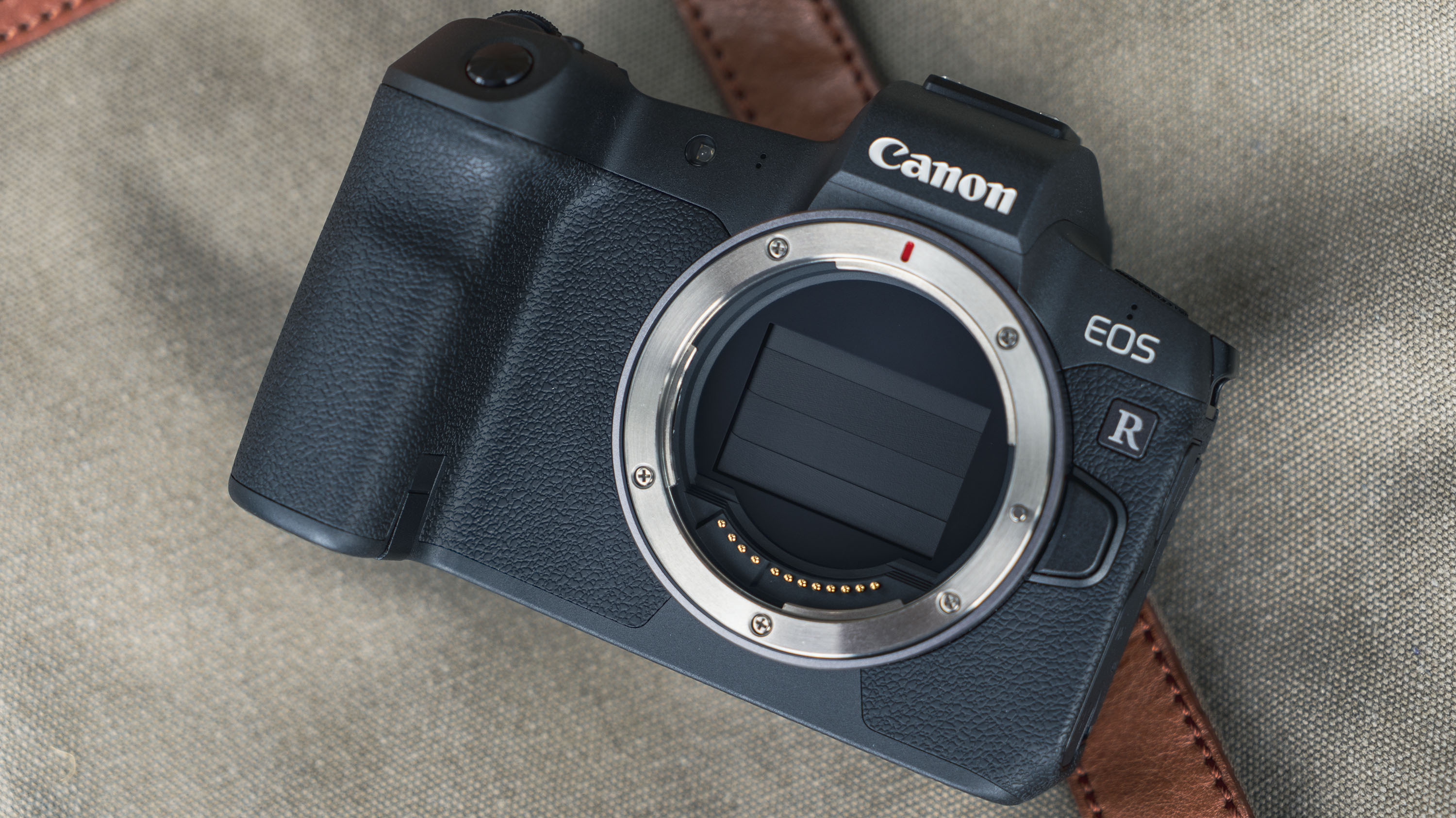 Both models have mechanical shutters, although the EOS R's is a little more sprightly. Credit: TechRadar