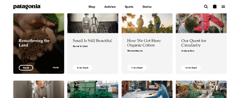 Patagonia brand's Footprint blog scrolling through page GIF