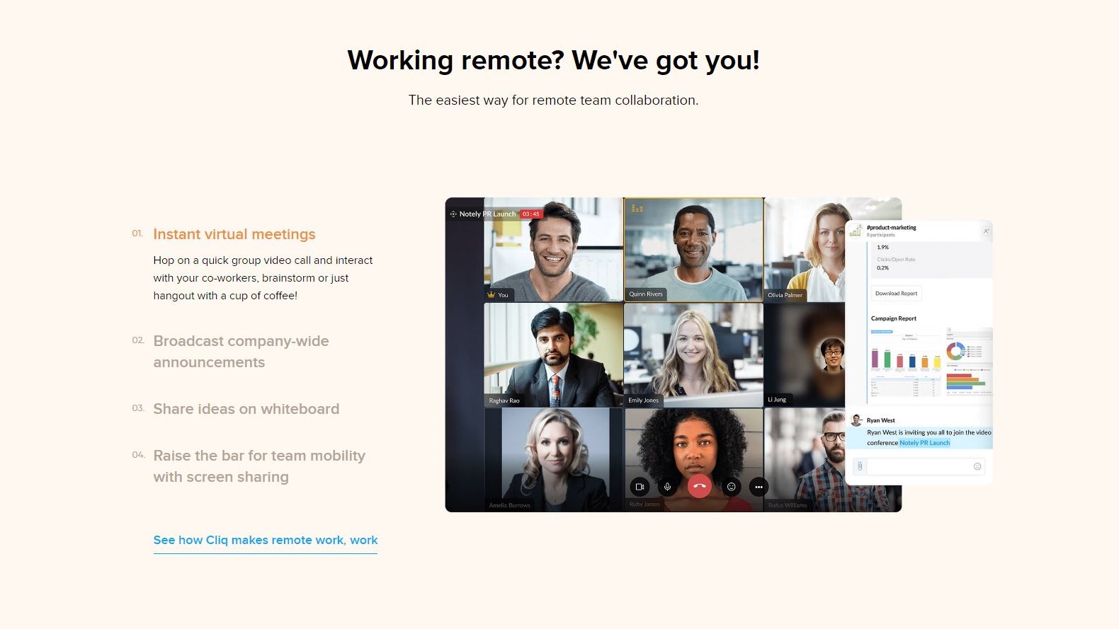 Remote Working