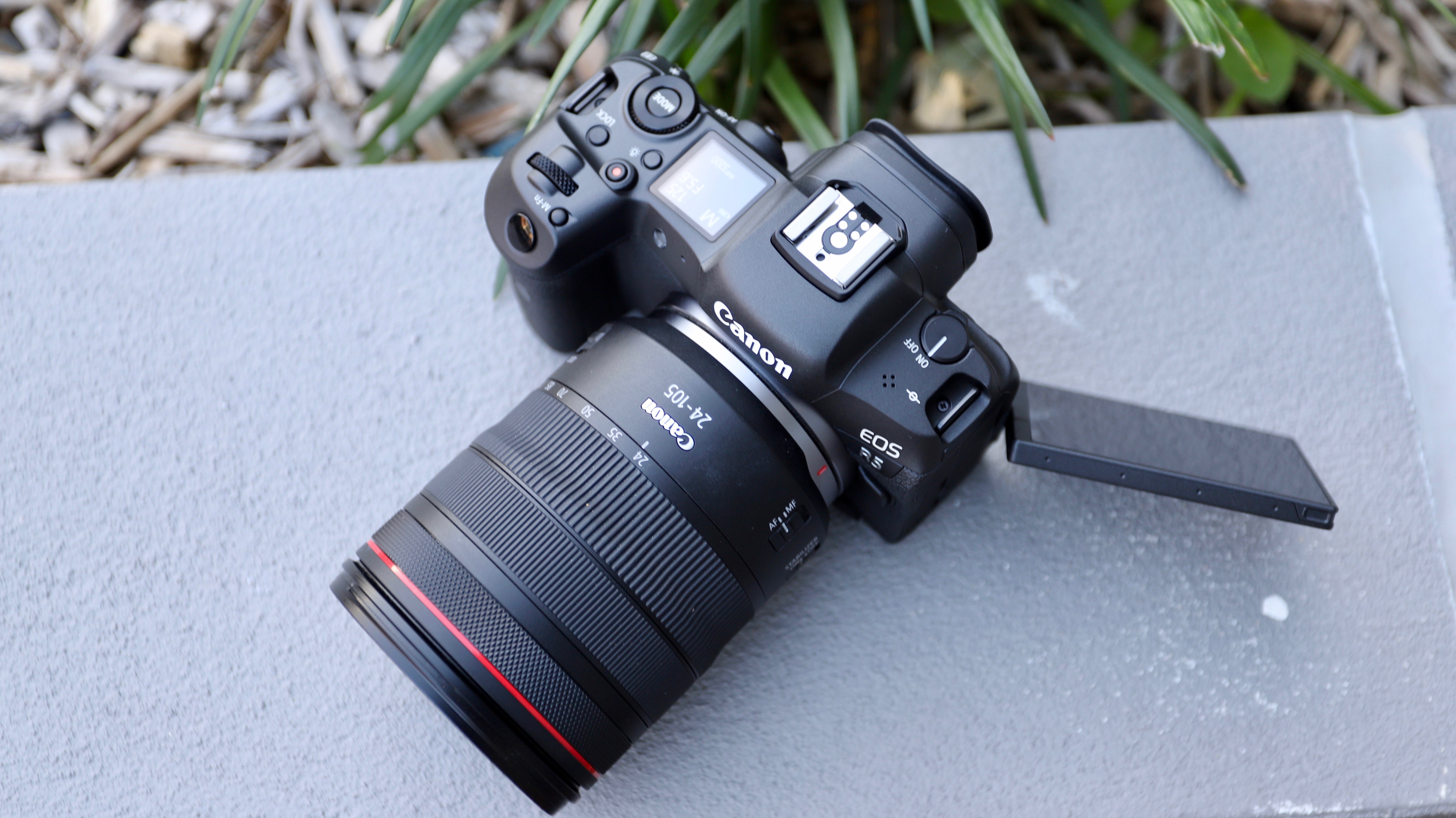 Canon EOS R5 articulating screen