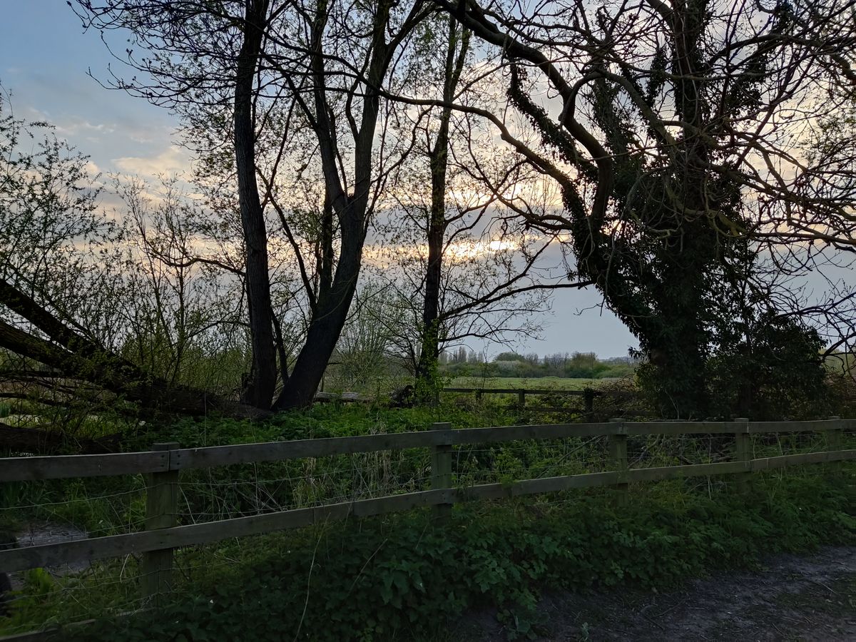 Poco X3 Pro camera sample
