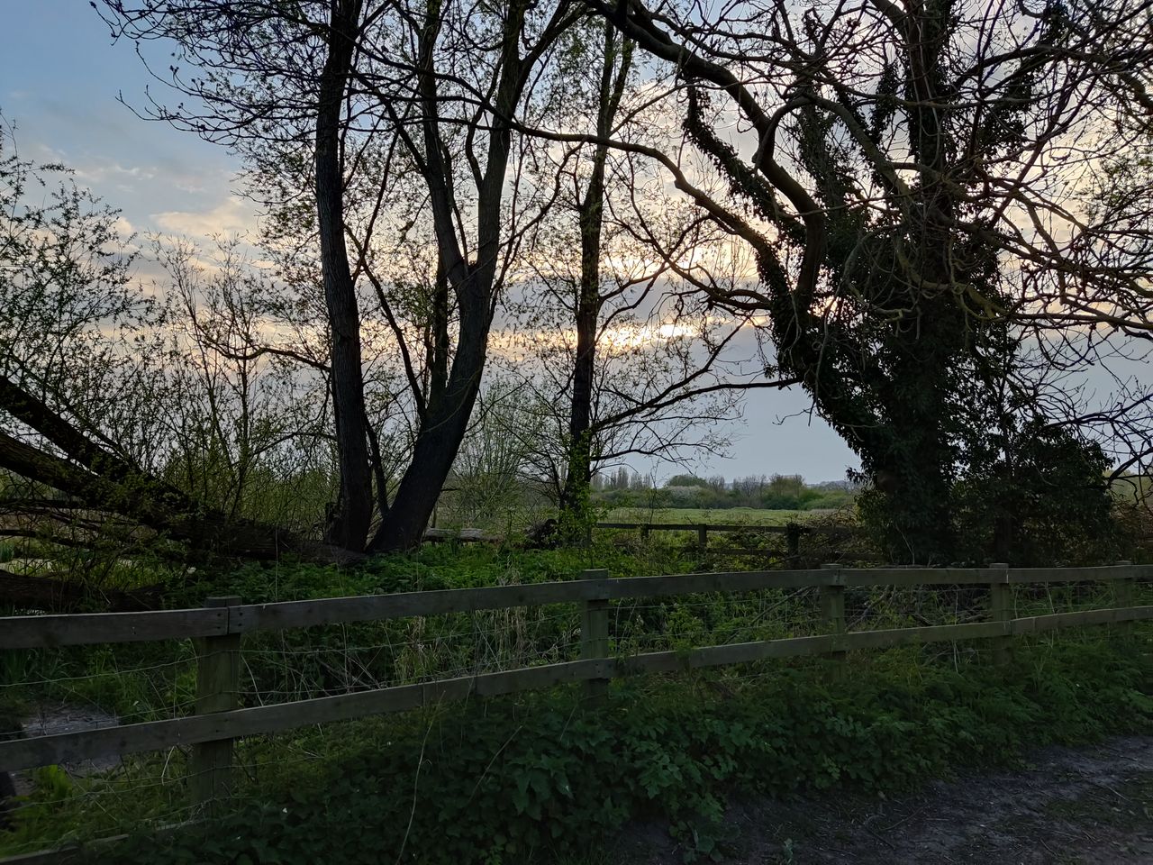 Poco X3 Pro camera sample