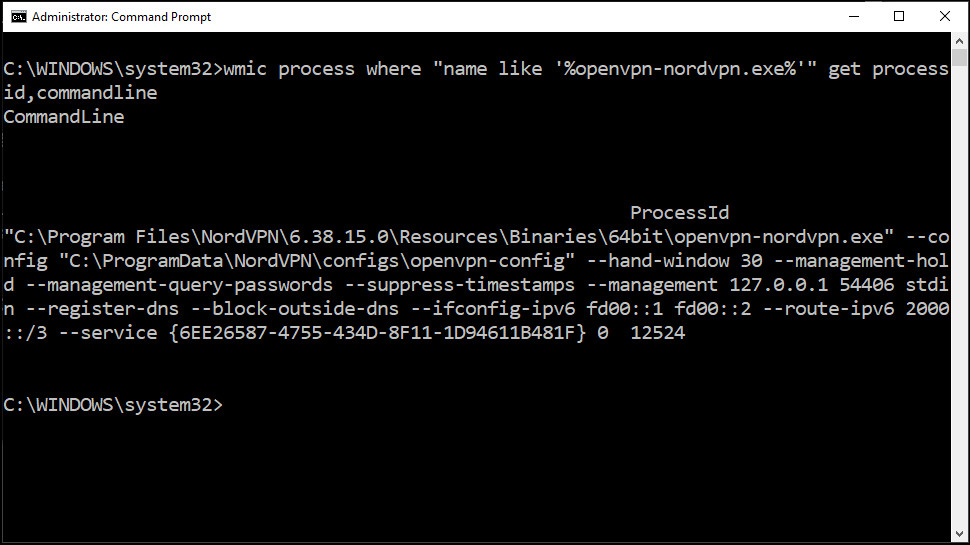 Entering a command at the Windows command line