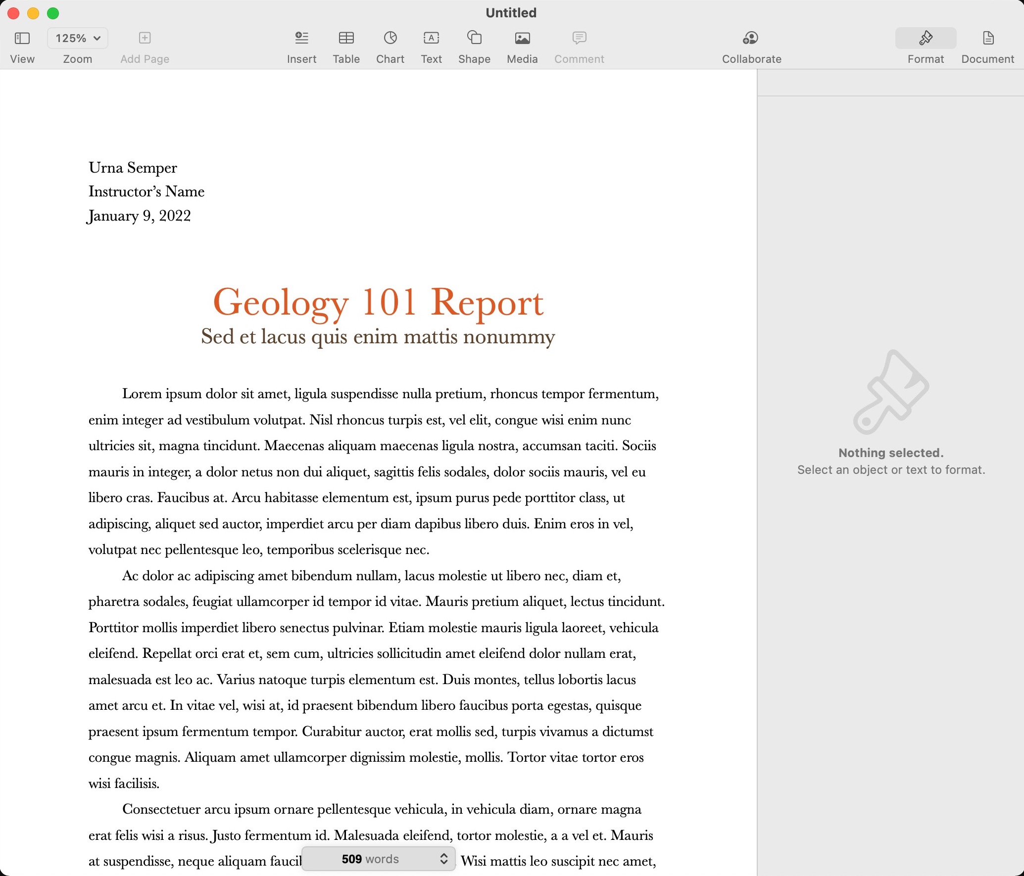 Apple Pages interface