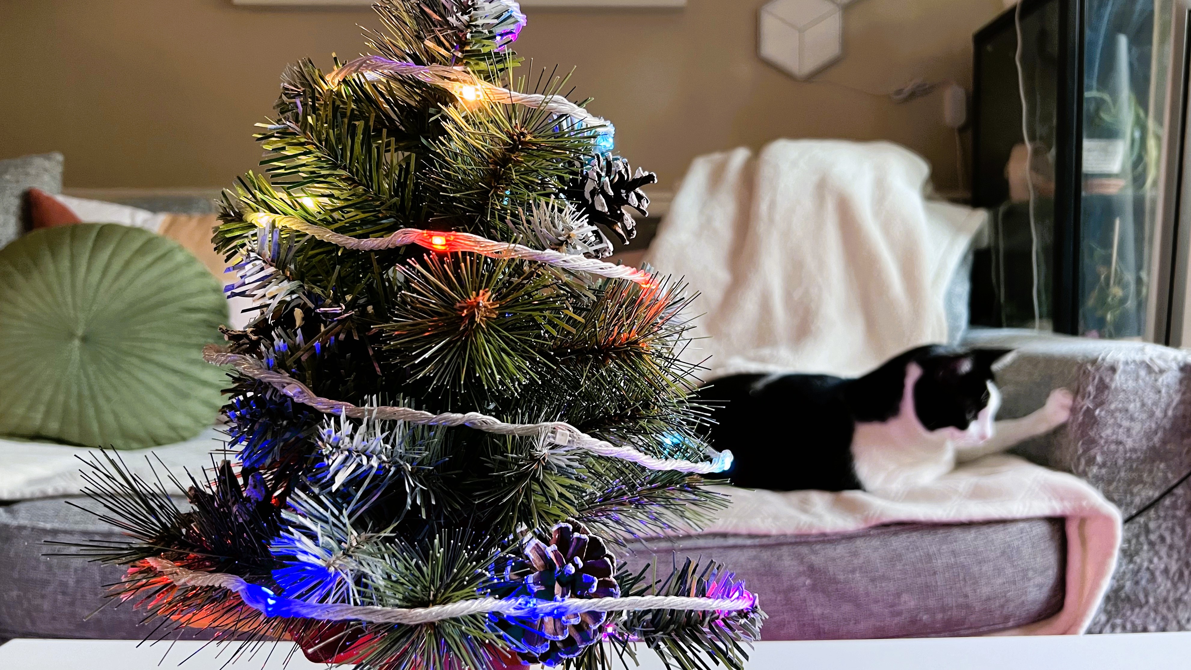 Govee Christmas String Lights on a small tree during testing