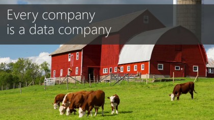Cow farm
