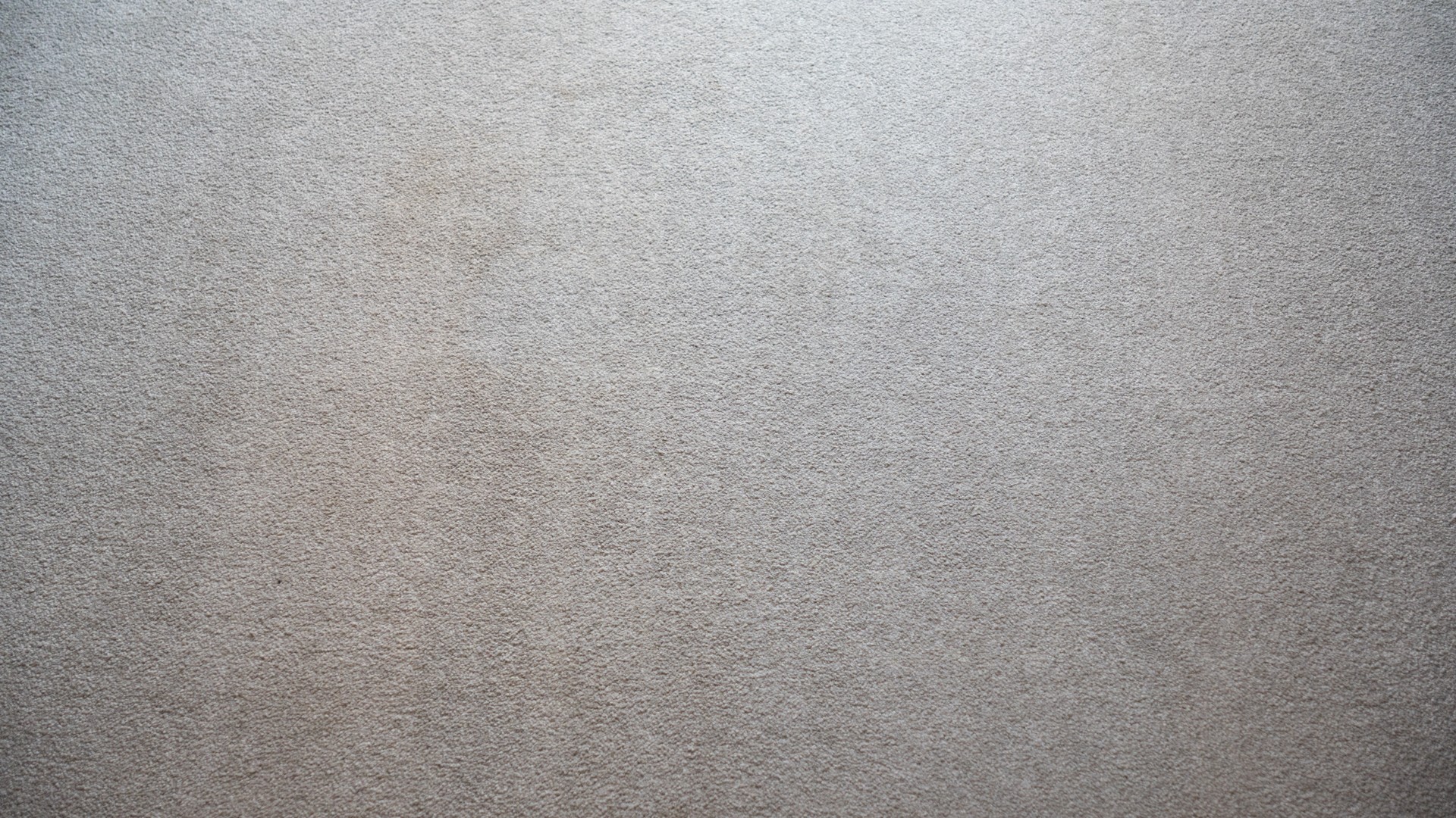 Carpet after vacuuming