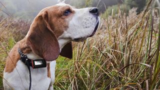 Pet trackers