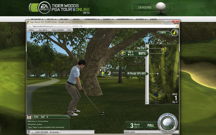 Tiger woods