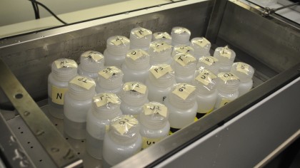 Appetite for Destruction: HP's product testing philosophy