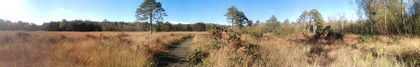 Google Nexus 10 Panorama
