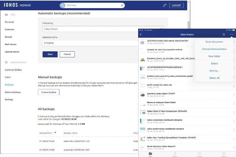 Desktop screenshot of the Ionos HiDrive Pro's backup management