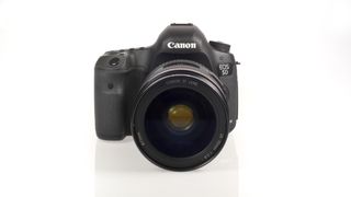 Canon EOS 5D Mark III vs Nikon D800