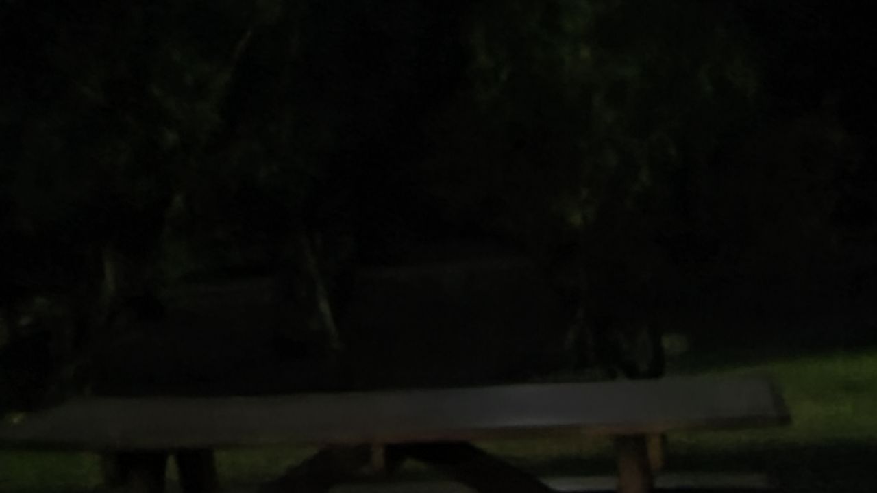 Samsung Galaxy S20 Plus camera samples