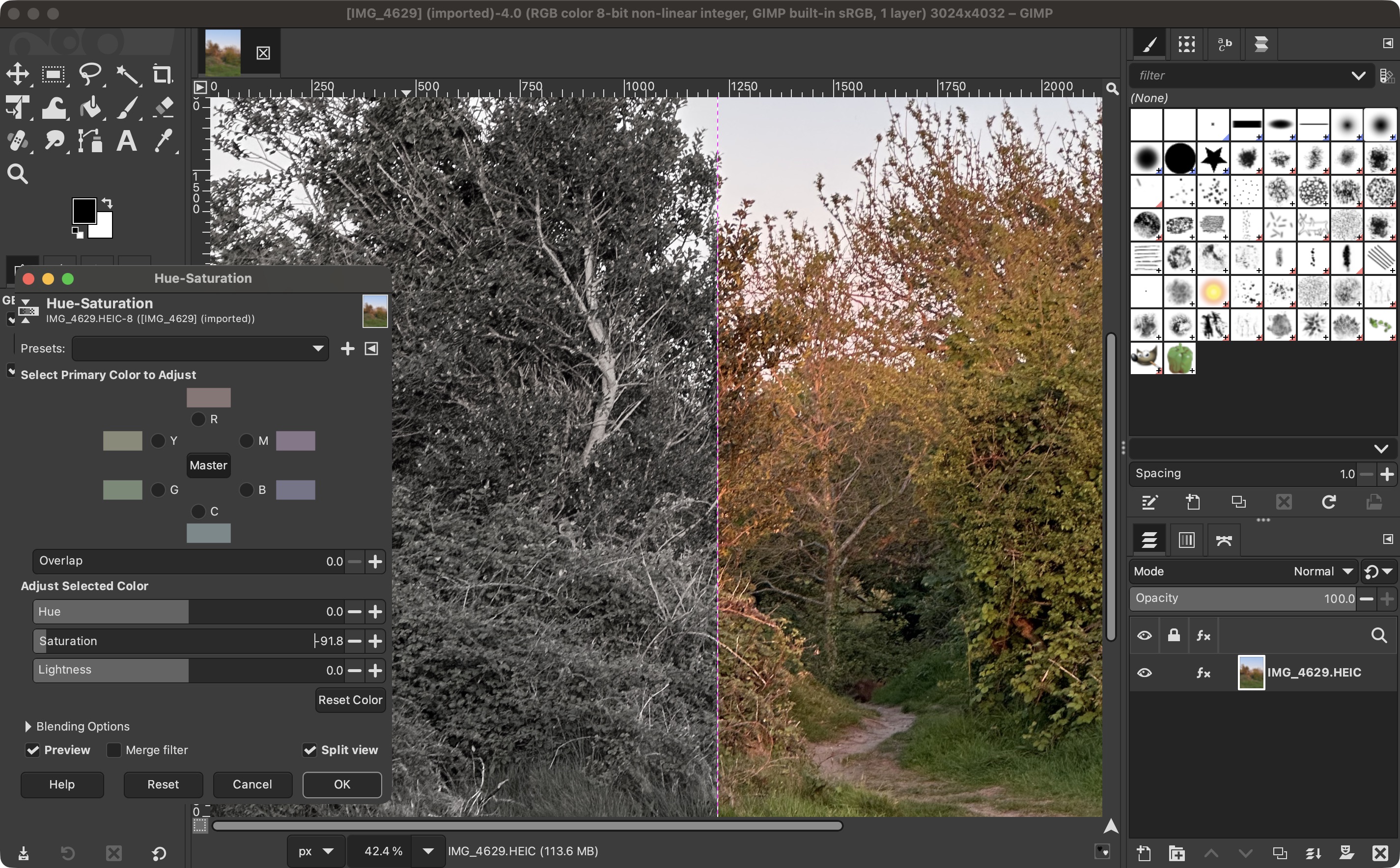 Using GIMP during our review process