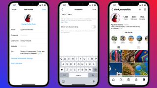 Instagram bio pronouns