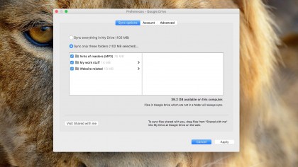 4. Choose Sync options