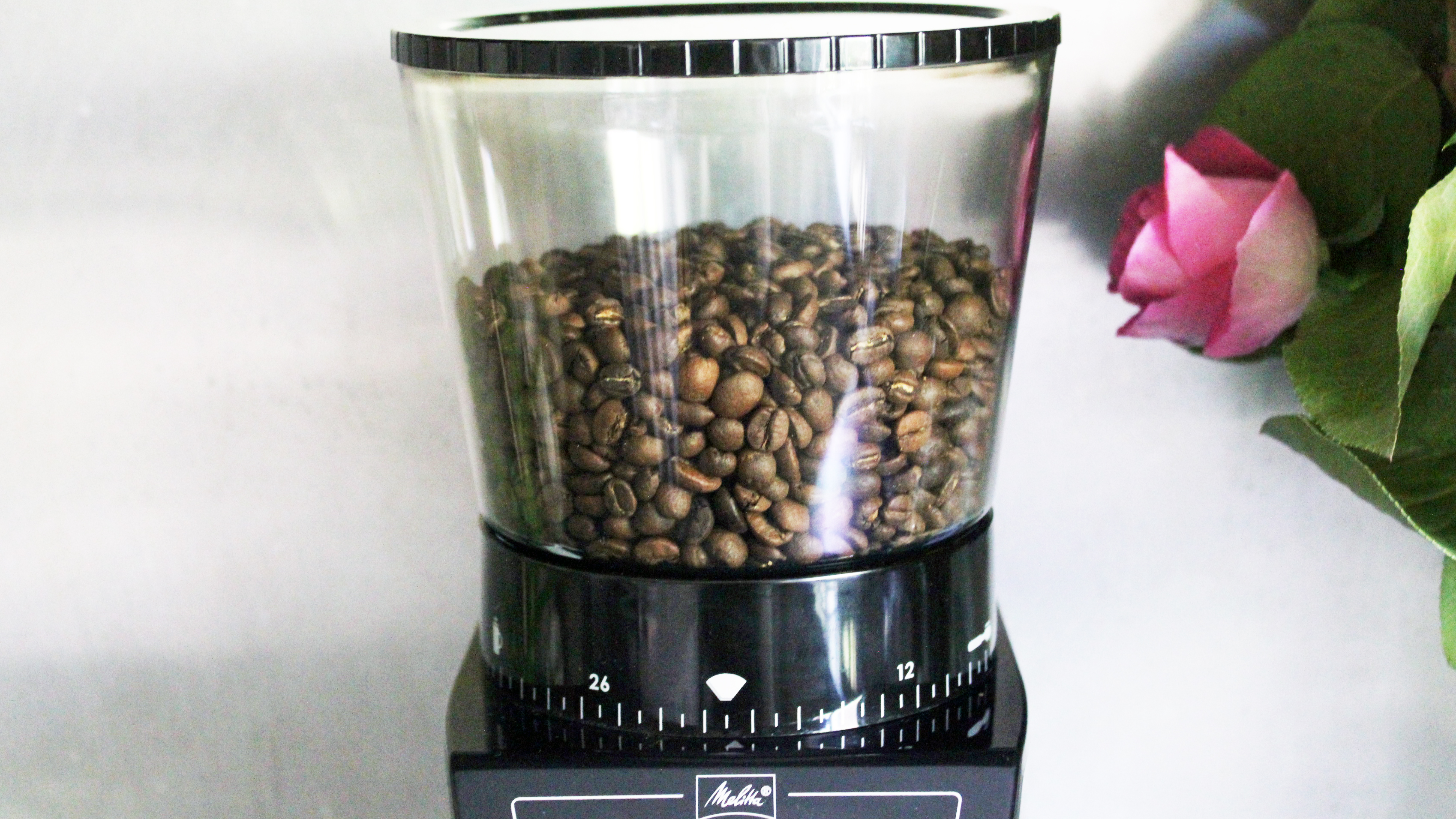 melitta calibra