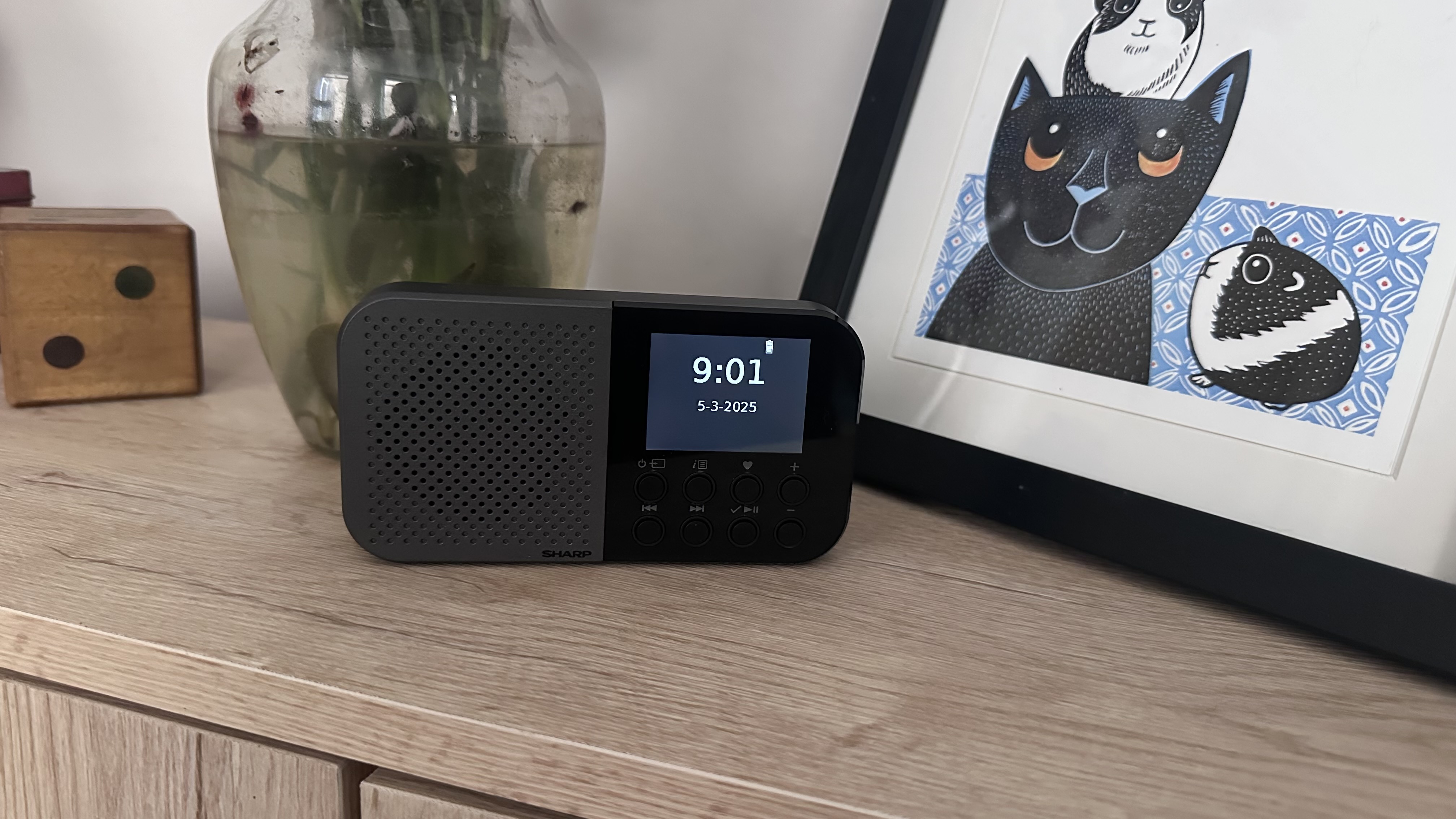 Sharp Osaka DAB radio on a wooden surface