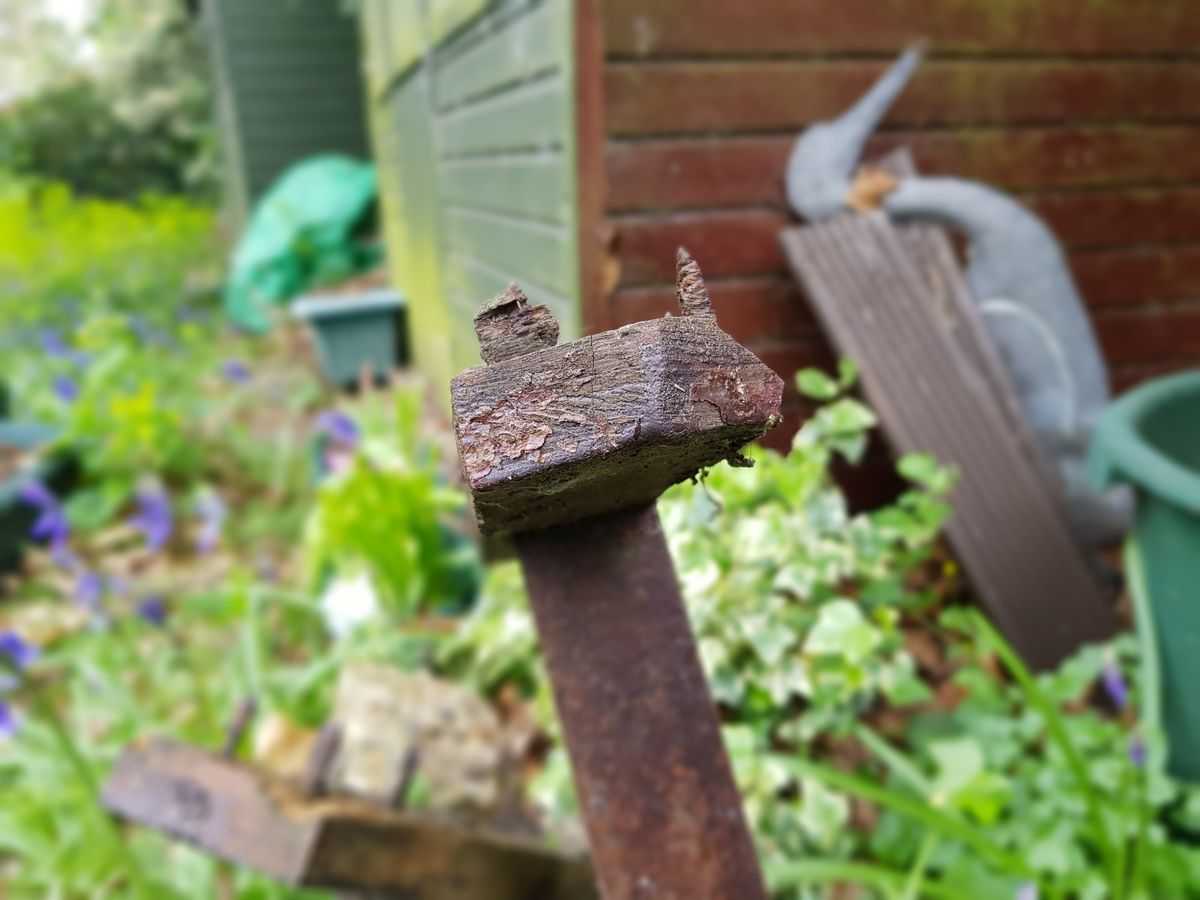 The selective focus still offers impressive results
