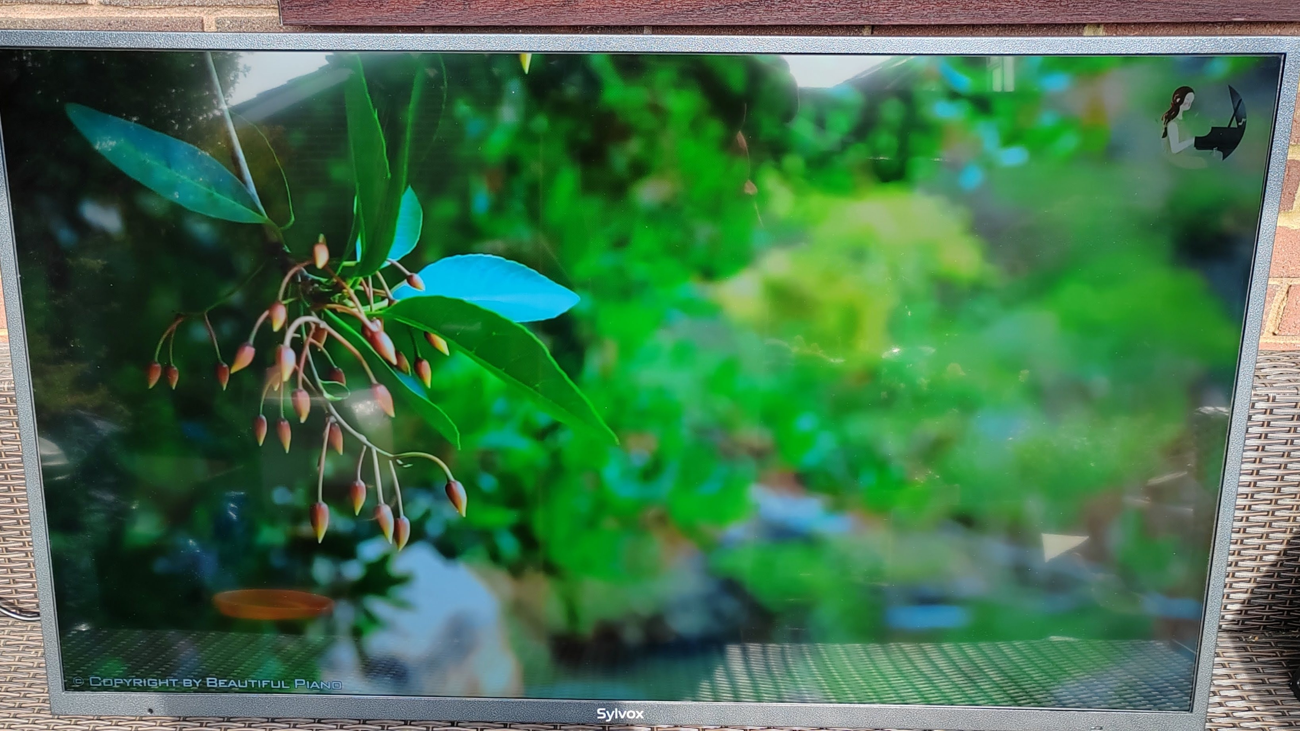 Sylvox 55-inch DeckPro 4K