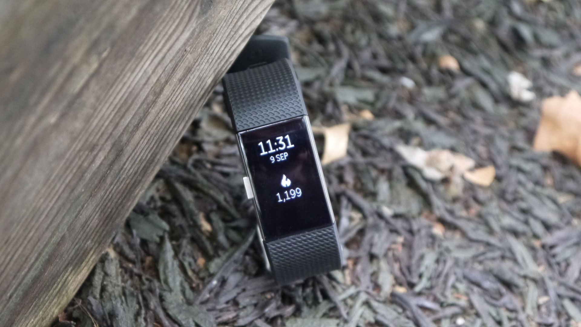 Fitbit Charge 2