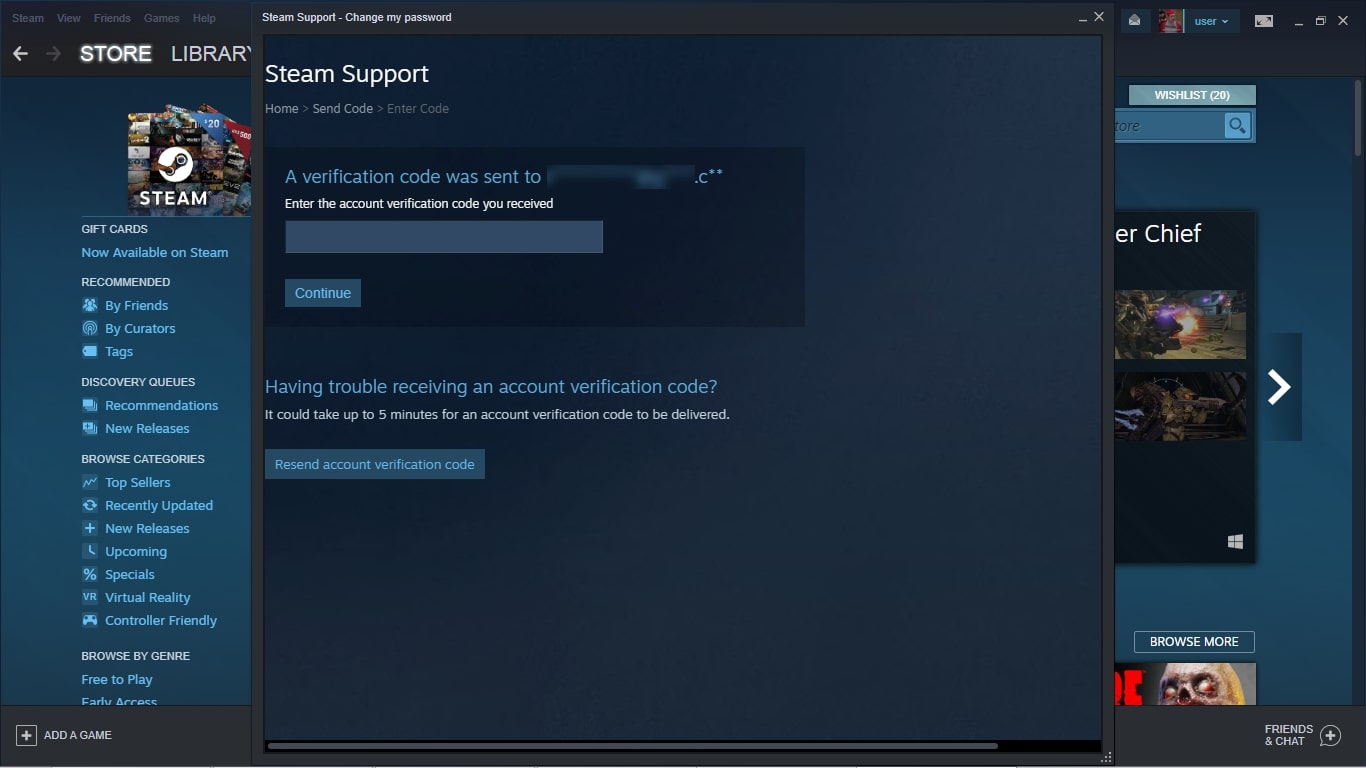 Steam password