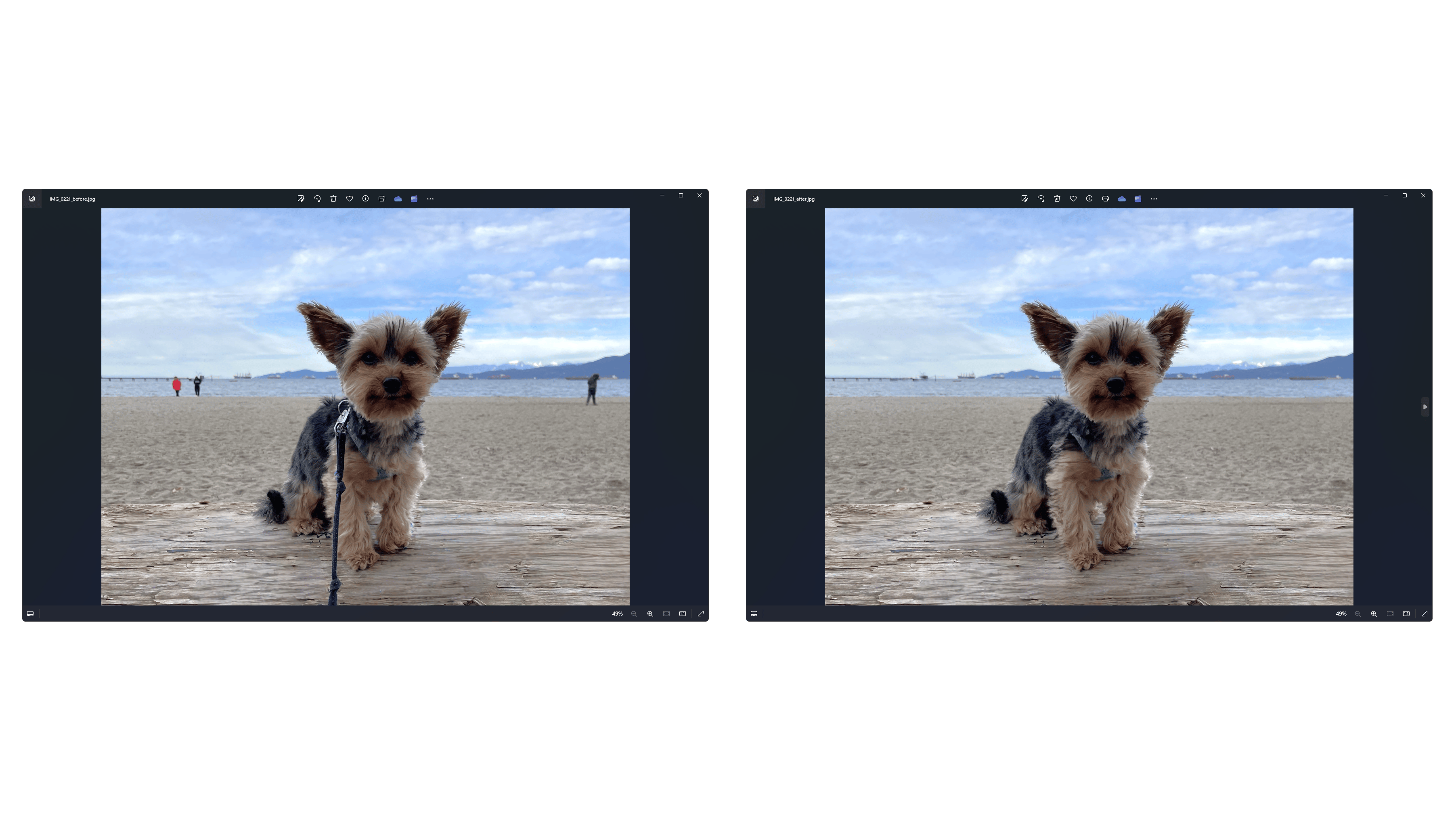 Windows Photos App