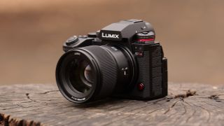 Panasonic Lumix S1 IIE camera on a tree trunk