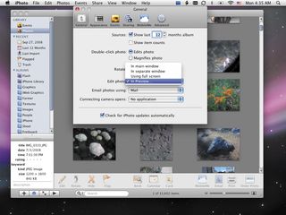 iPhoto