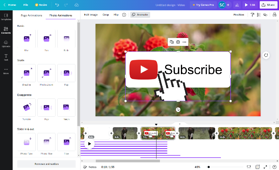 Adding effects to Canva Video