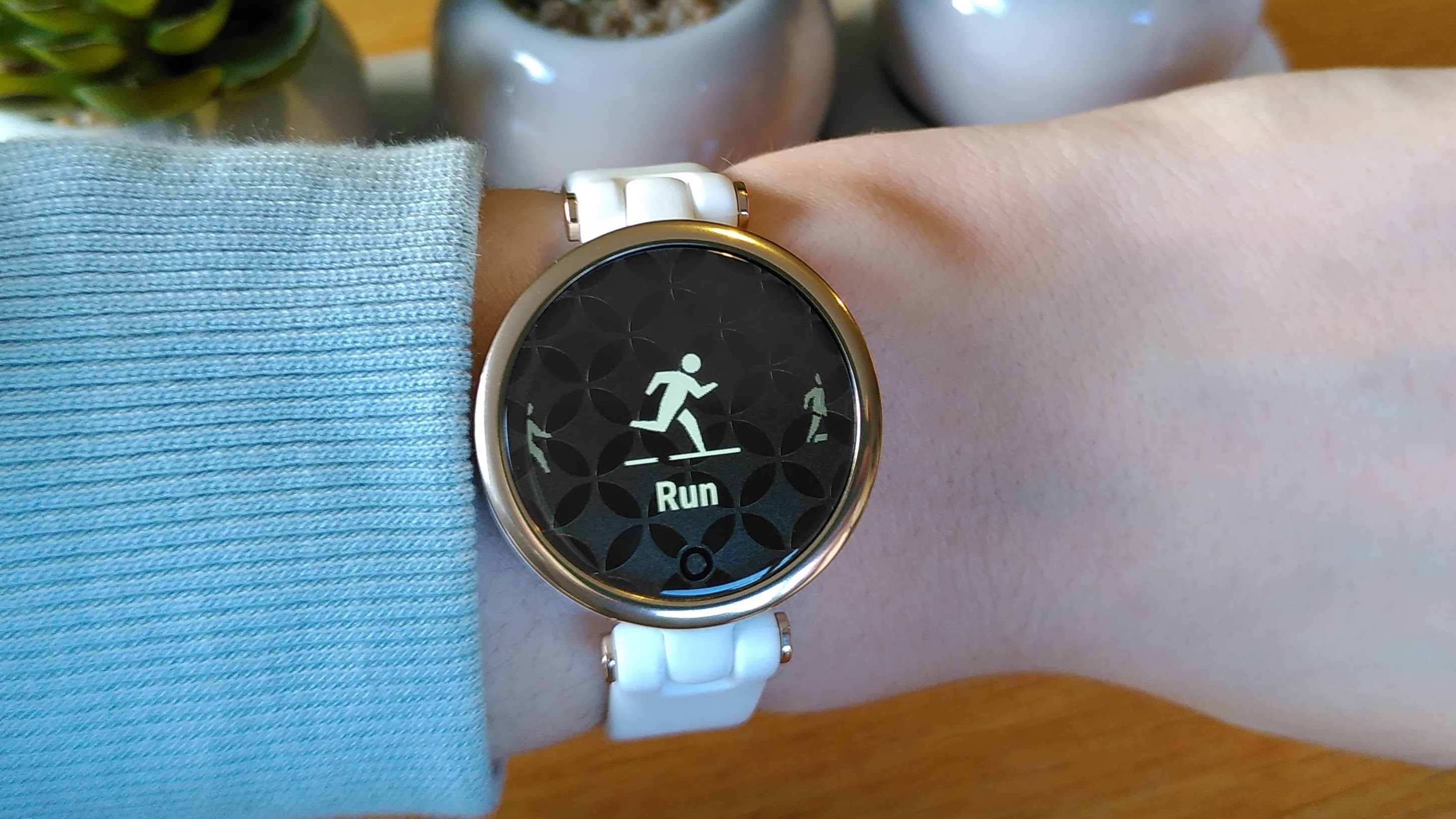 Garmin Lily
