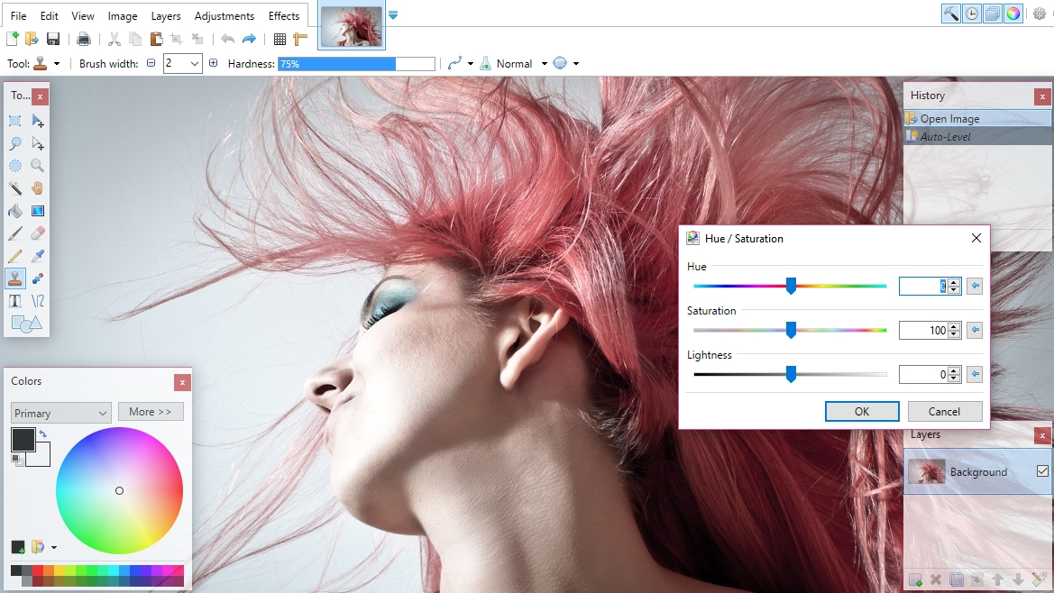 Paint.NET includes advanced manual color correction tools and filters, with support for plugins. Image credit: Paint.NET