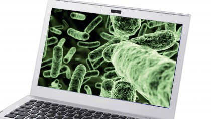Virus