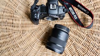 Canon RF 85mm f/2 Macro IS STM