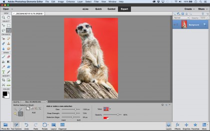 Adobe Photoshop Elements 14