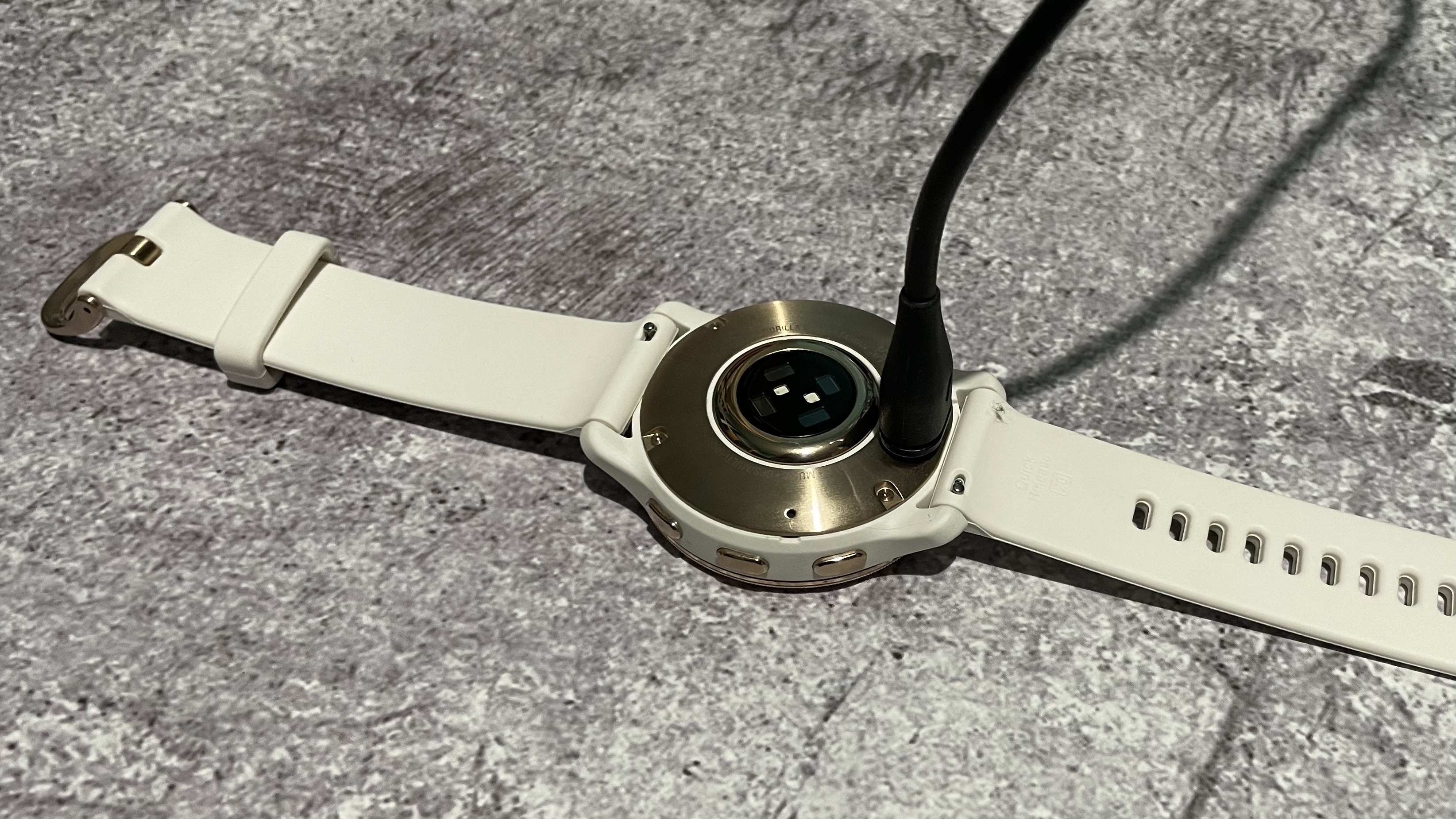 Garmin Venu 2 Plus
