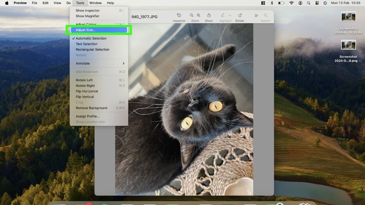 Screenshot showing how to resize an image on a macbook - select tools, adjust size