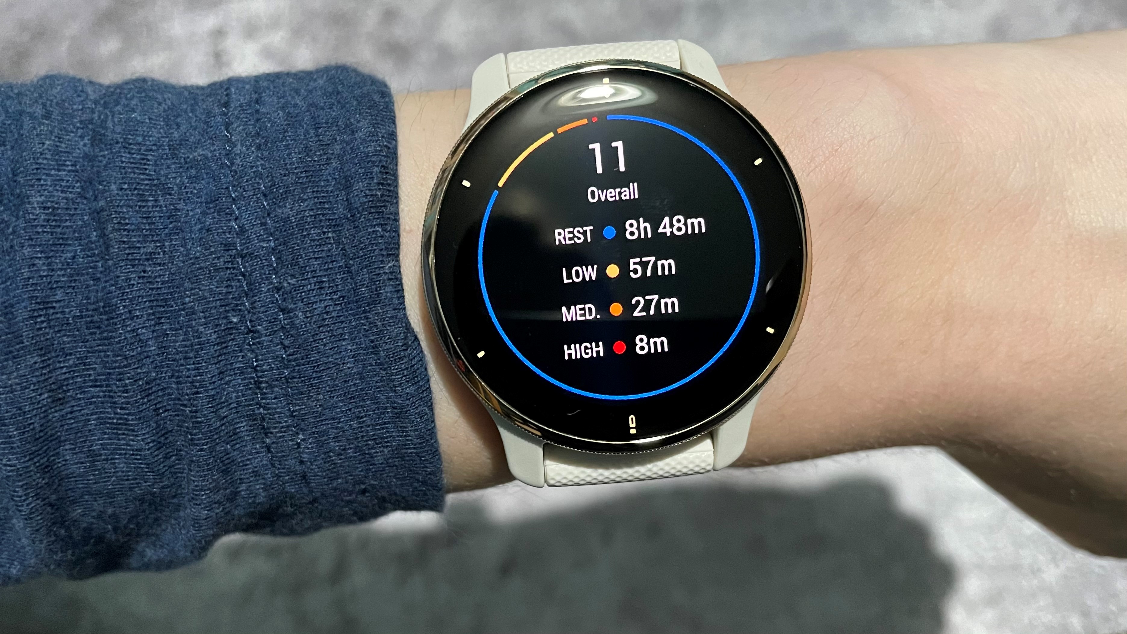 Garmin Venu 2 Plus