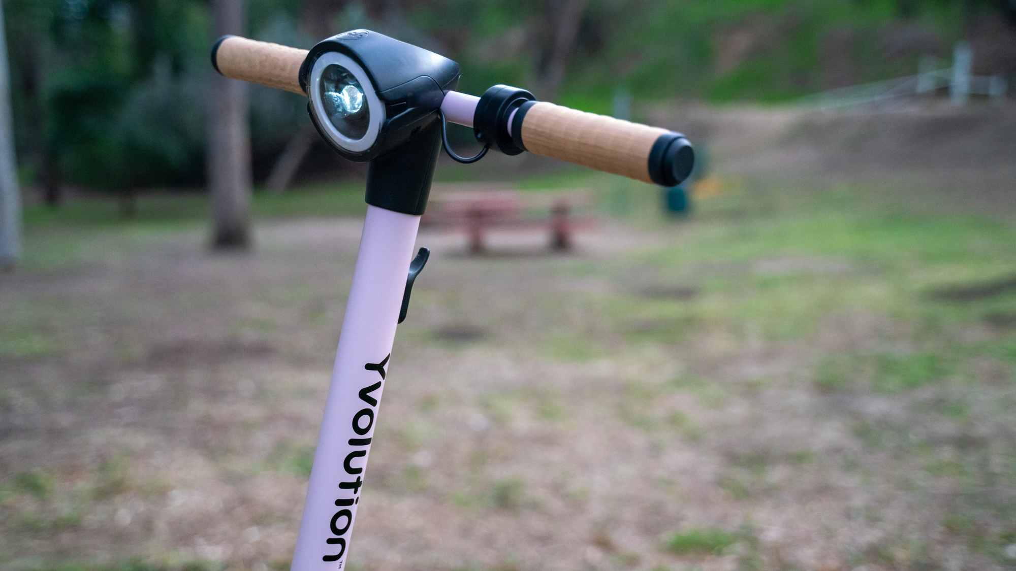 Yvolution Yes at a park