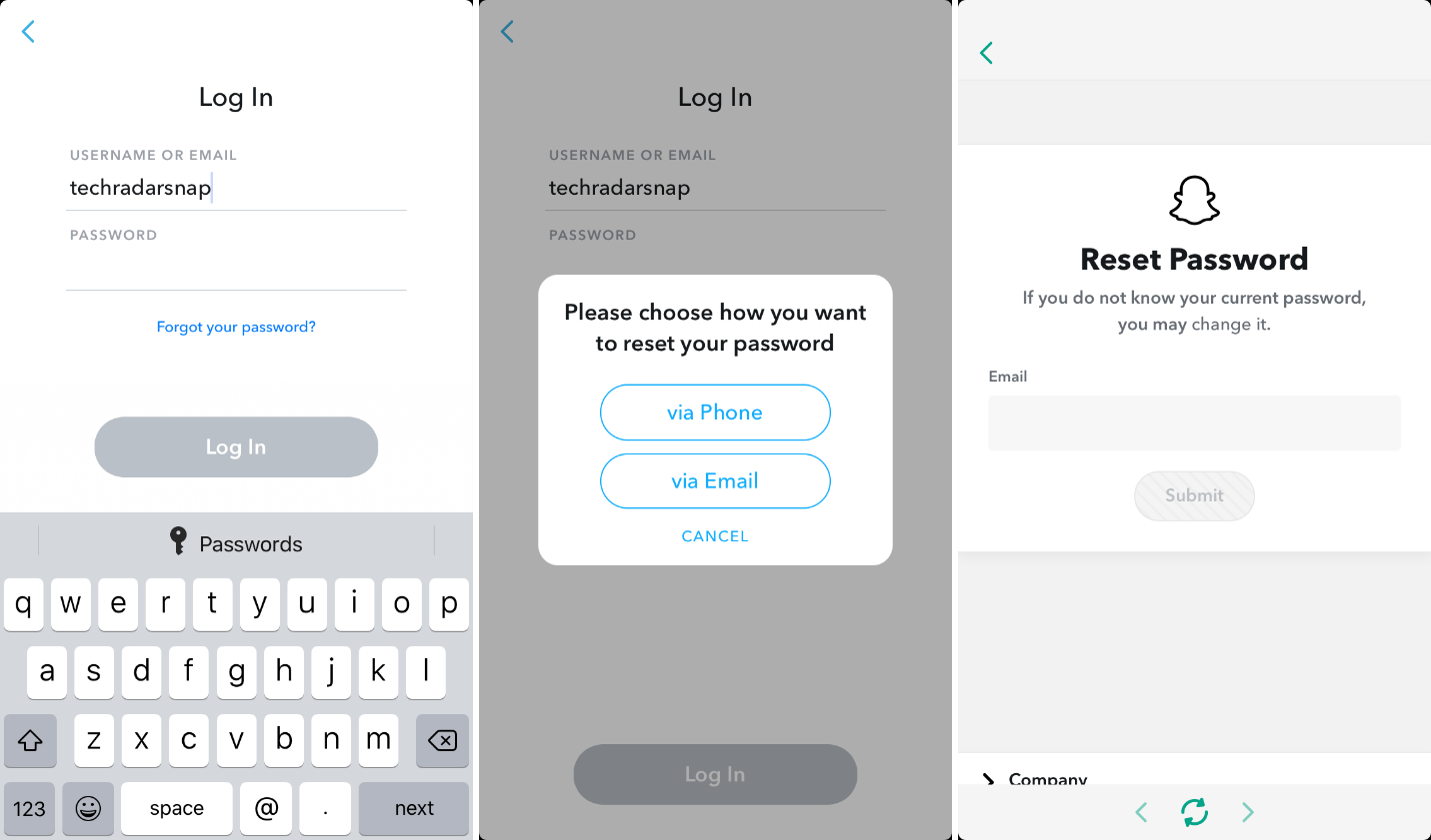 Snapchat password