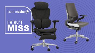 A FlexiSpot Sentinel and Steelcase Gesture office chair on a purple background next to a TechRadar badge that reads 'Don't Miss'