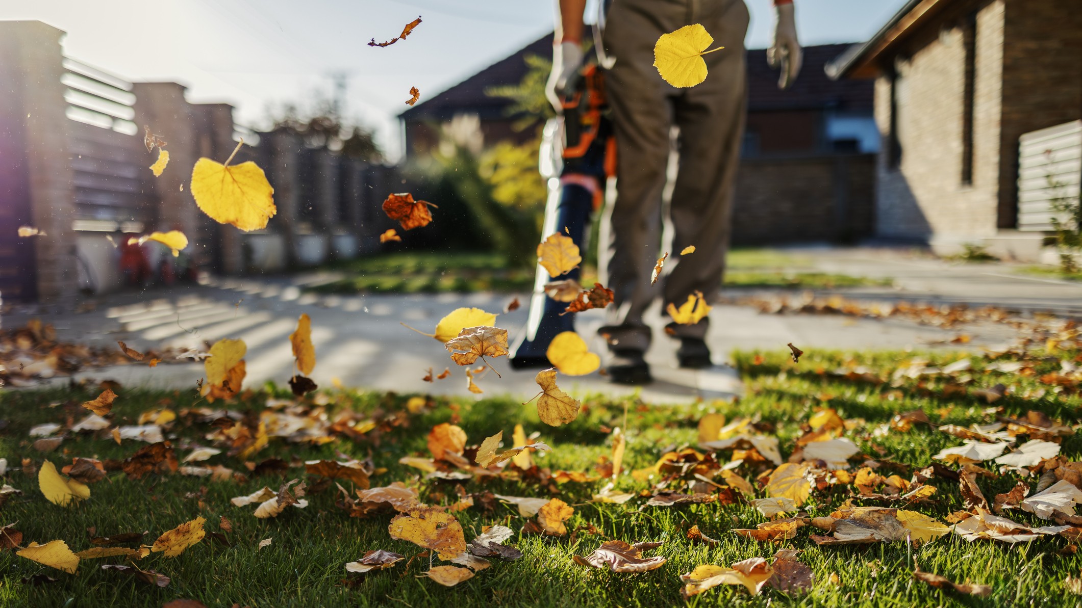 Person using leaf blower on autumn leaves